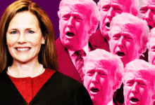 Trump Is Melting Down in Private at ‘Weak’ Amy Coney Barrett