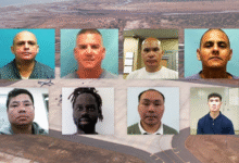 ICE Officers Trapped in a Shipping Container With Deported Migrants