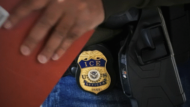 ICE-Tracking App Skyrockets in Popularity After Trump Team Freaks Out