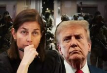 Trump Explodes at Judge He Put on the Bench