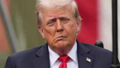 Trump Insiders Spill Why Nobody Will Correct His Chaotic Gaffes