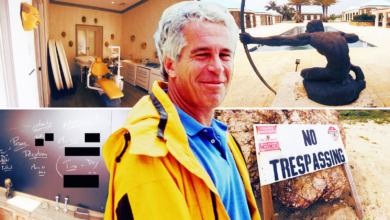 New Videos Expose Creepy Secrets of Epstein’s Pedo Island