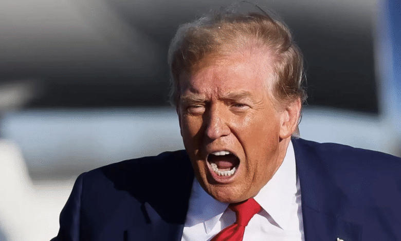 Watch: Trump Goes on Wild Tirade Over ‘Affordability,’ Calls It a ‘Democrat Scam’