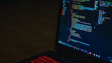 Programming Languages for Software Development Explained Programming Languages for Software Development Explained