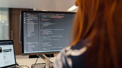 Software Development Outsourcing and Career Paths Explained Software Development Outsourcing and Career Paths Explained