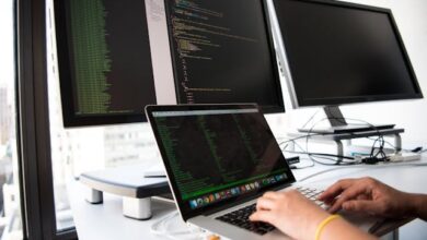 The Software Development Life Cycle (SDLC) Explained The Software Development Life Cycle (SDLC) Explained