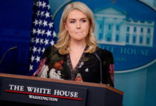 White House’s chilling warning about midterm elections: ‘Can’t guarantee an ICE agent won’t be around polling locations’ White House’s chilling warning about midterm elections: ‘Can’t guarantee an ICE agent won’t be around polling locations’