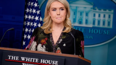 White House’s chilling warning about midterm elections: ‘Can’t guarantee an ICE agent won’t be around polling locations’