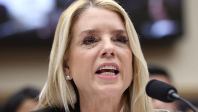 Bondi Has Bonkers Yelling Meltdown as Dems Rip Her to Shreds Bondi Has Bonkers Yelling Meltdown as Dems Rip Her to Shreds