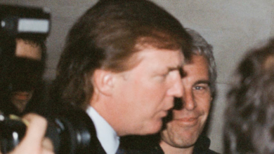 Top Trump Goon Sued for Failing to Release the Epstein Files