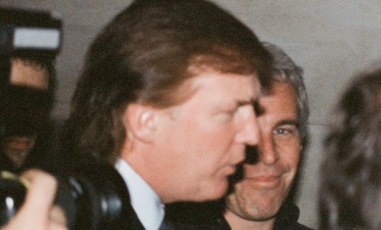 Top Trump Goon Sued for Failing to Release the Epstein Files