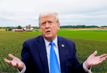 Trump’s agricultural tariffs hit all 50 states—driving up food prices, crushing exports, and leaving farmers with nowhere to turn