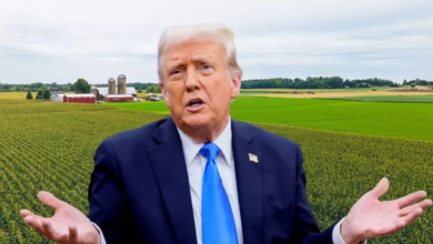 Trump’s agricultural tariffs hit all 50 states—driving up food prices, crushing exports, and leaving farmers with nowhere to turn