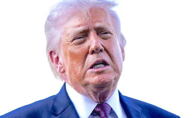Breakout Star of Flop Festival Distances Himself From Trump