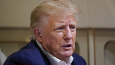 Panicked Trump Makes Desperate Move as Devastating Polls Pile Up