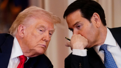 Trump Spills the Deranged Message He Told Rubio to Give the Pope