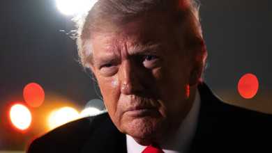 Senator Reveals Trump’s ‘Insane’ Plan for After the Election